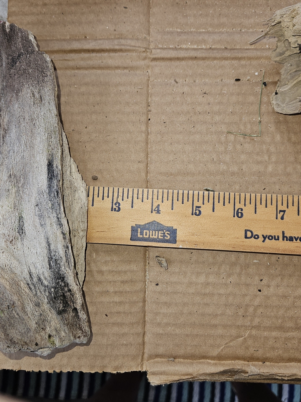 Natural Driftwood Accent Piece - Gray and Tan